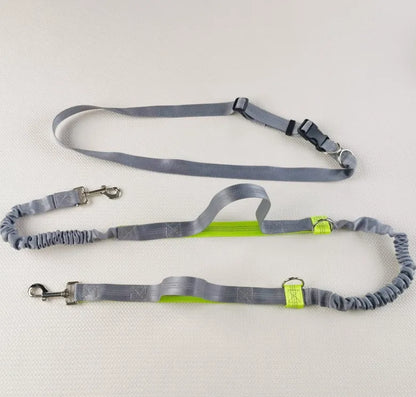 Pet Running Traction Leash