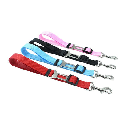 Seat Belt Safety Leash