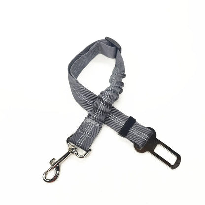 Click Clack Car Leash
