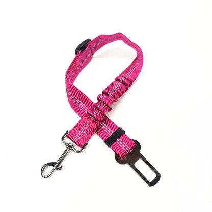 Click Clack Car Leash