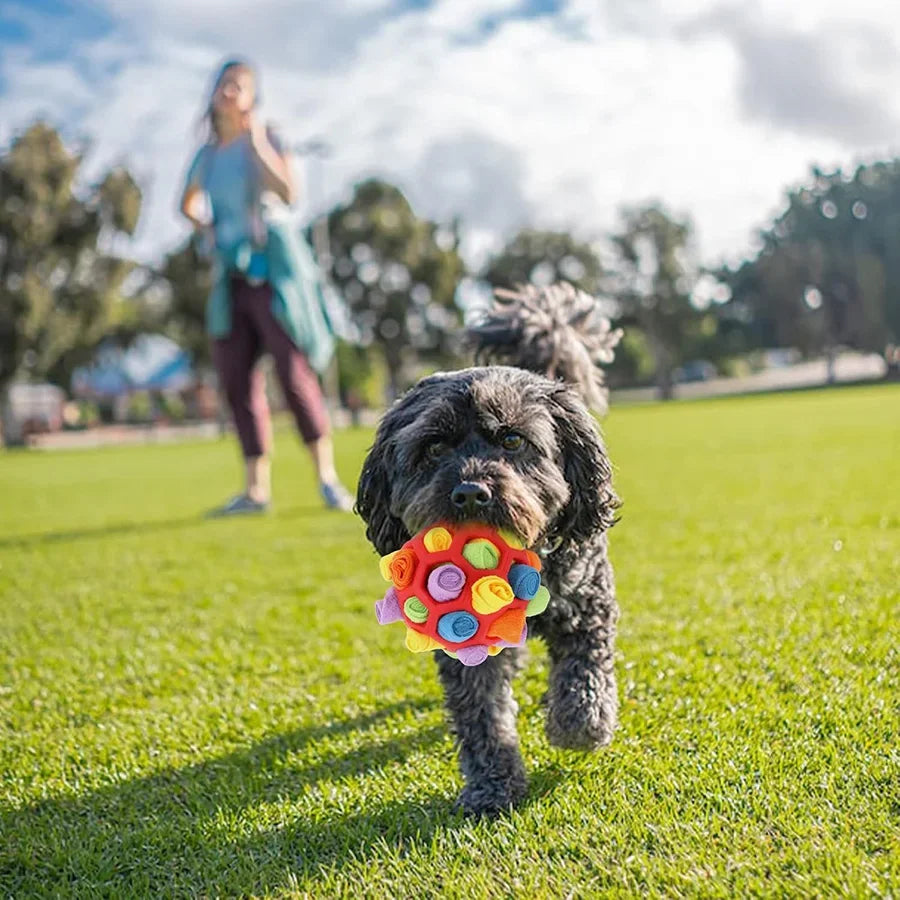 Snuffle Treat Ball