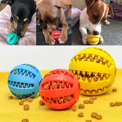 Slow Feeder Rubber Treat Ball