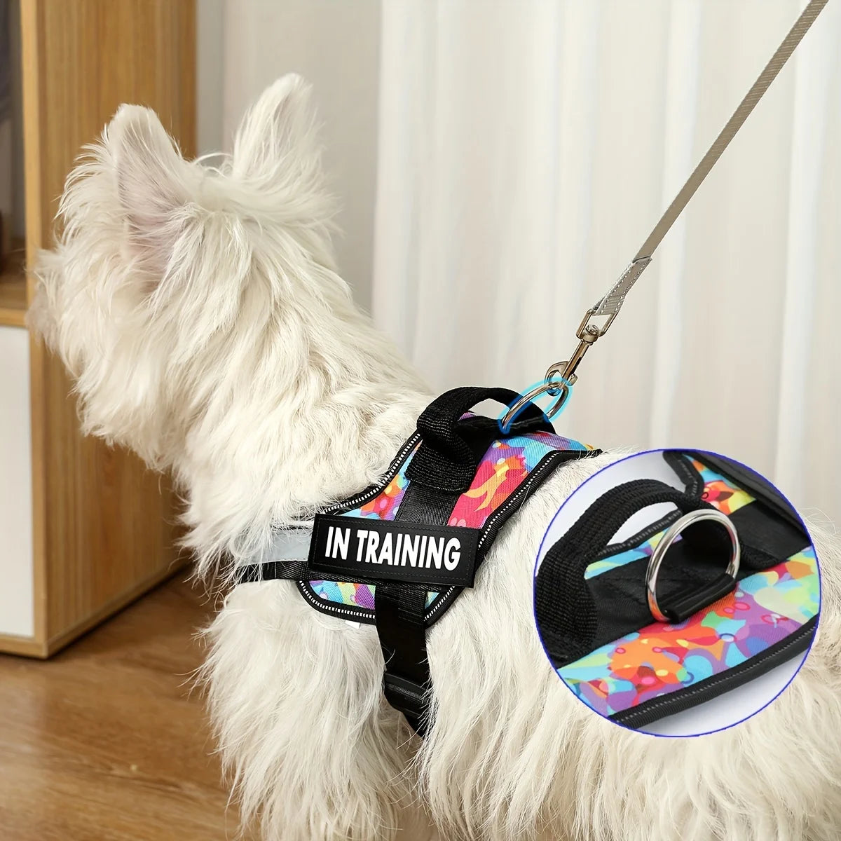 Personalised No Pull Dog Harness