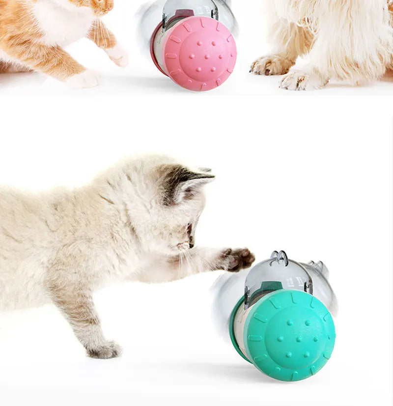 Treat Dispensing Balance Toy