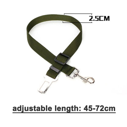 Click Clack Car Leash