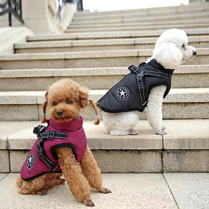 Waterproof Dog Jacket With Harness