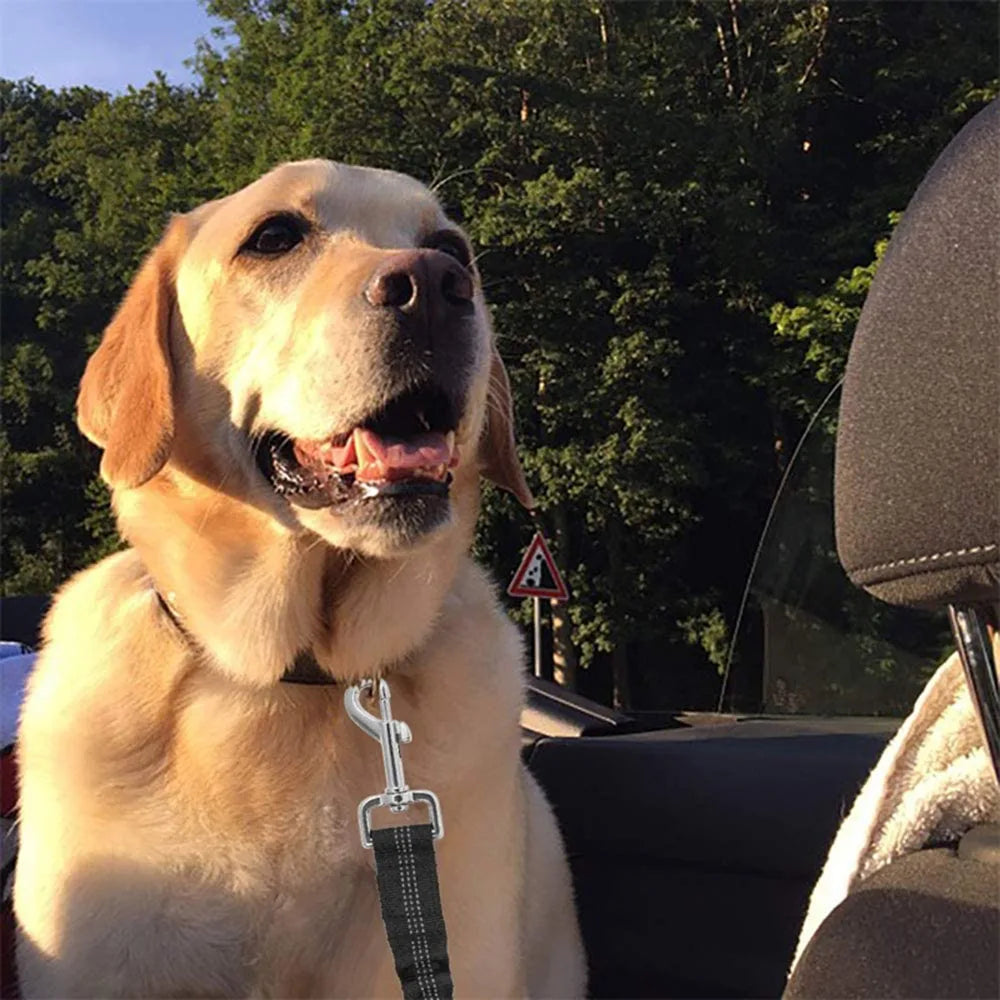 Click Clack Car Leash