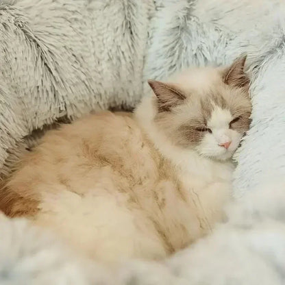 Calming Cat Tunnel Bed