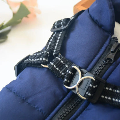 Waterproof Dog Jacket With Harness