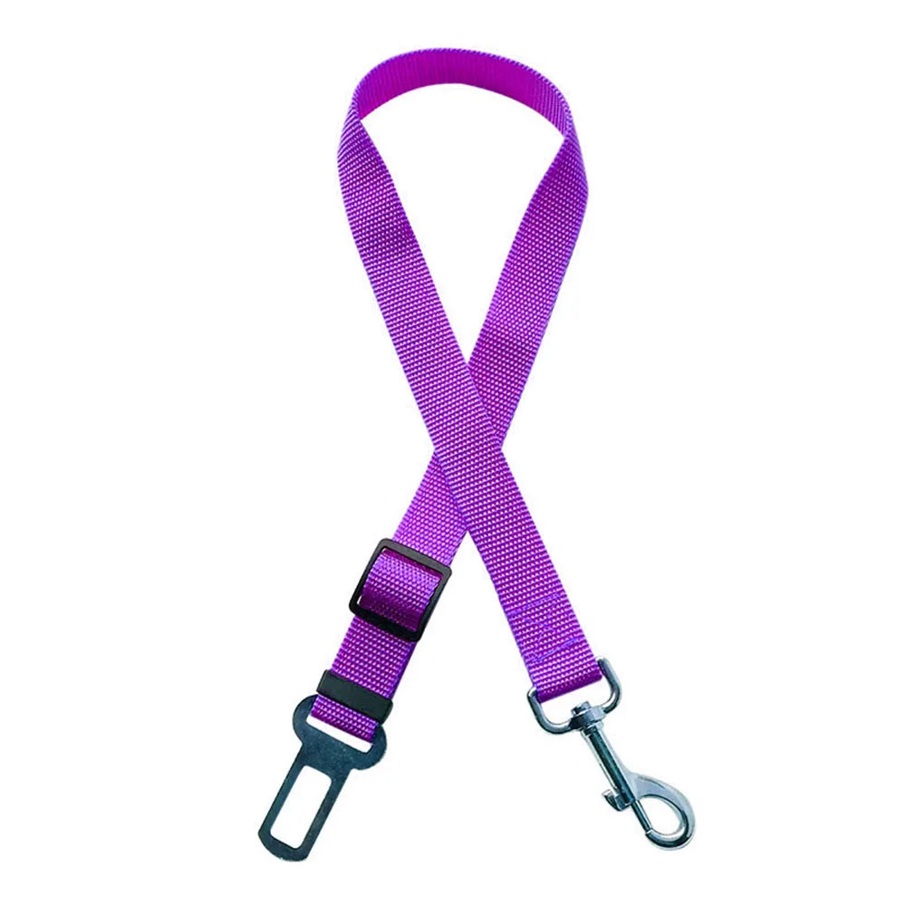 Click Clack Car Leash