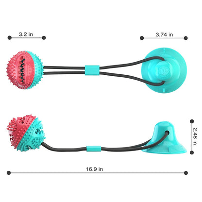 Molar Dog Pull Toy