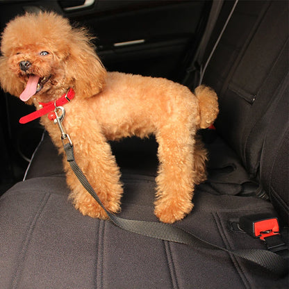 Seat Belt Safety Leash