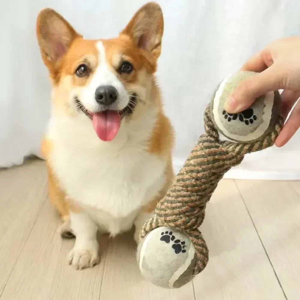 Ball and Rope Toy