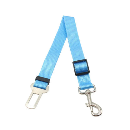 Seat Belt Safety Leash