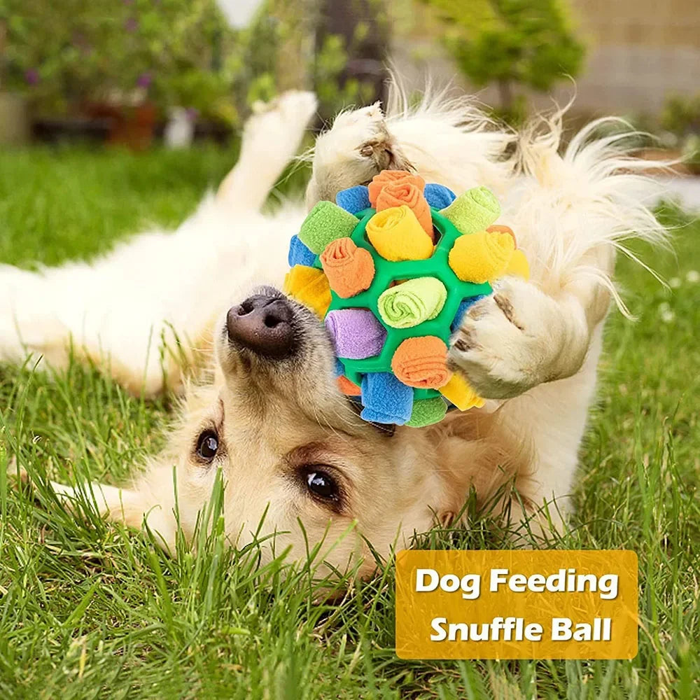 Snuffle Treat Ball
