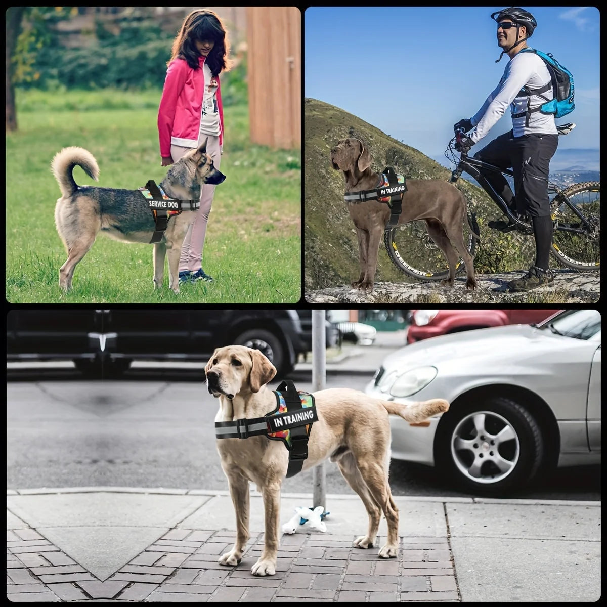 Personalised No Pull Dog Harness