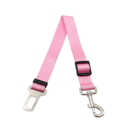 Seat Belt Safety Leash