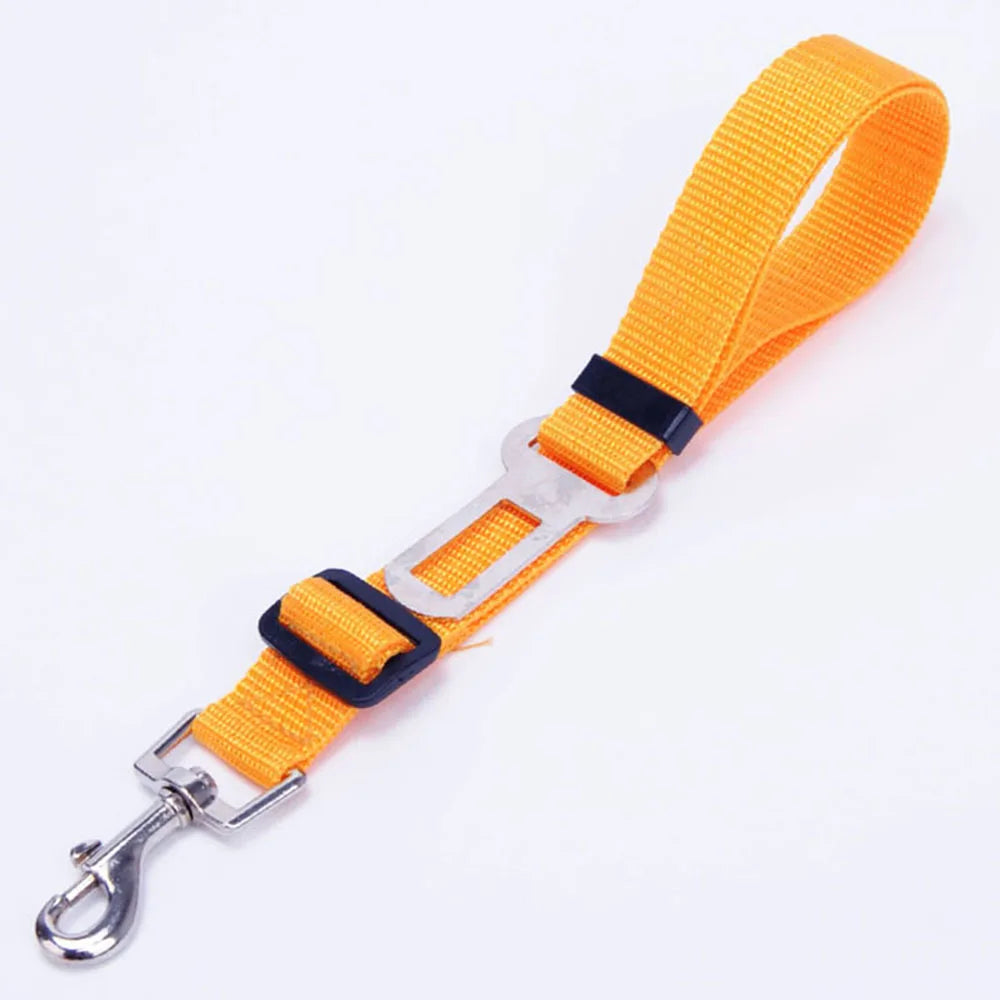Click Clack Car Leash