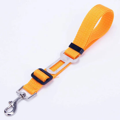 Click Clack Car Leash