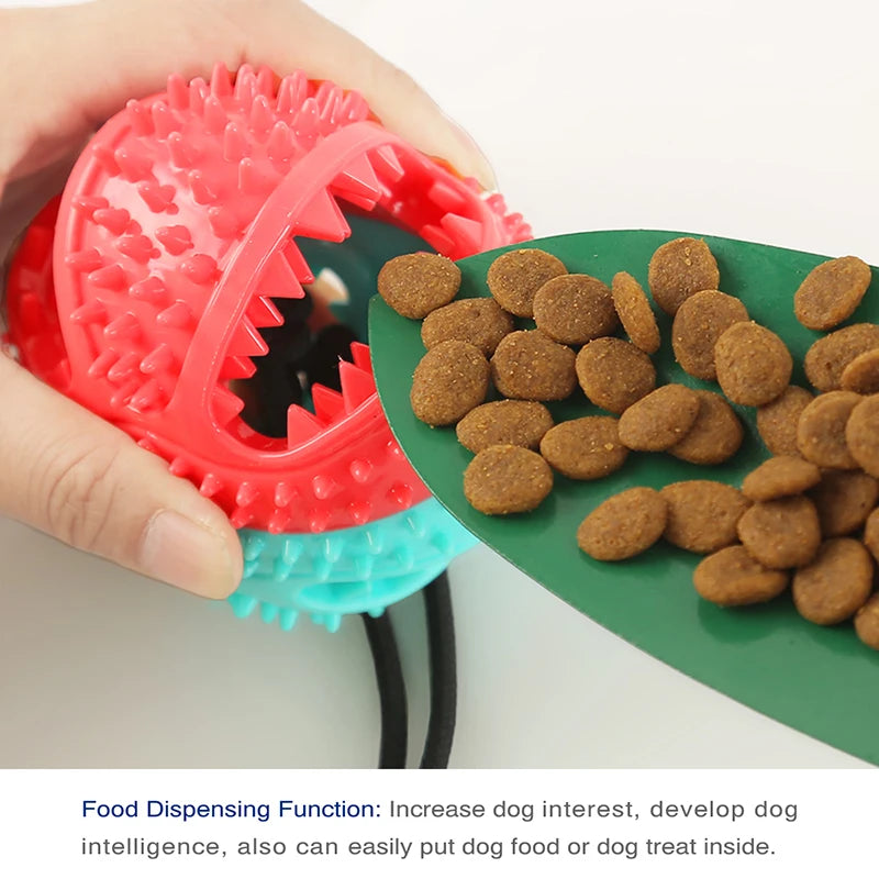 Molar Dog Pull Toy