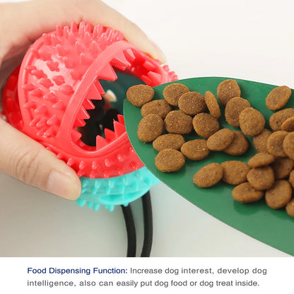 Molar Dog Pull Toy