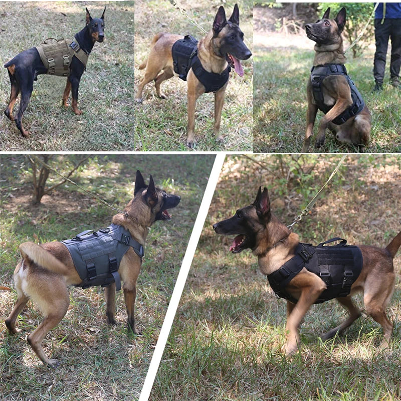 Defender Durable Tactical Dog Harness