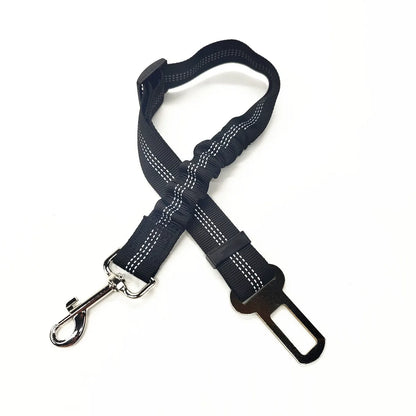 Click Clack Car Leash