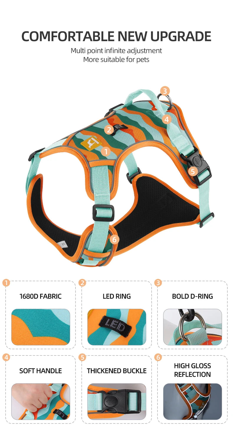 K9 Harness