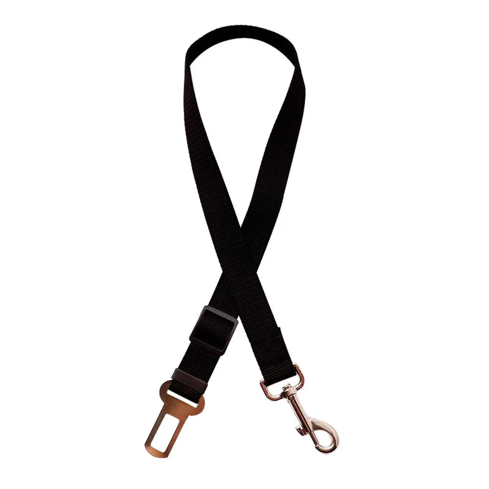 Click Clack Car Leash
