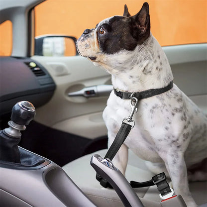 Click Clack Car Leash