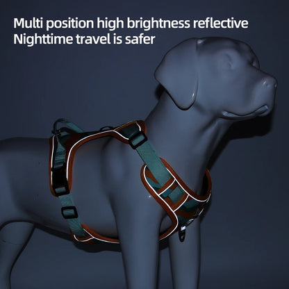 K9 Harness