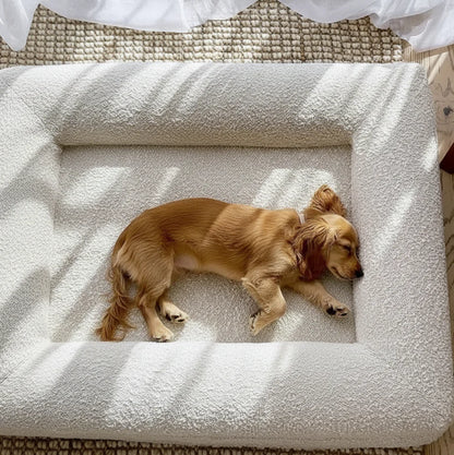 Luxury Bouclé Memory Foam Dog Bed