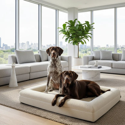 Luxury Bouclé Memory Foam Dog Bed