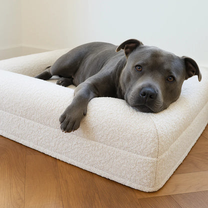 Luxury Bouclé Memory Foam Dog Bed
