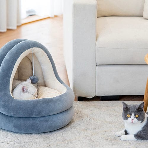 Luxurious Nesting Cave