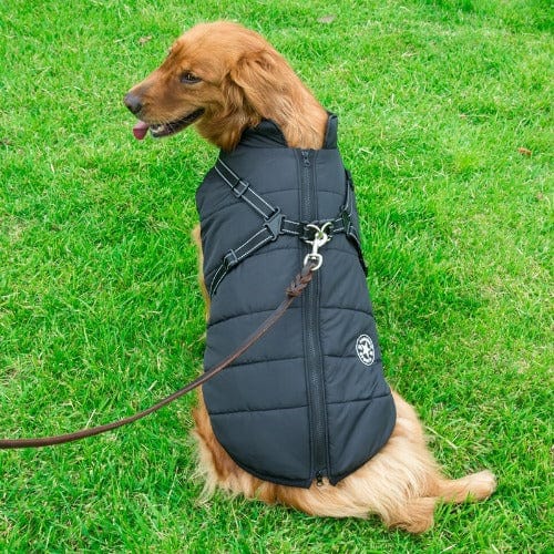 Waterproof Dog Jacket With Harness