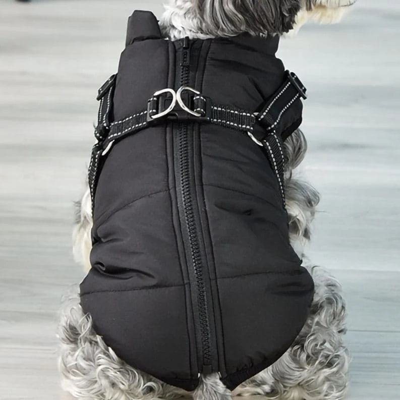 Waterproof Dog Jacket With Harness