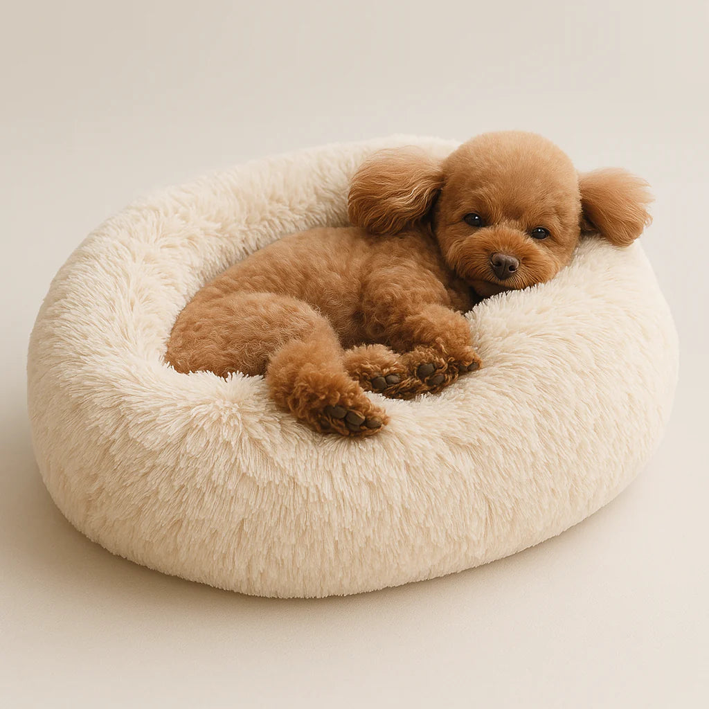 Calming Dog Bed with Removable Cover