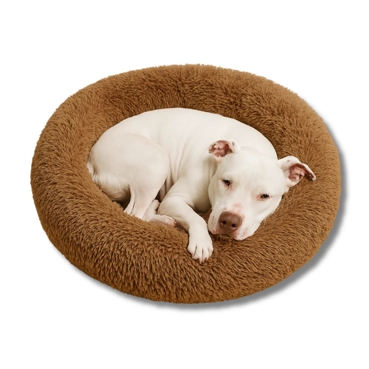Calming Dog Bed with Removable Cover